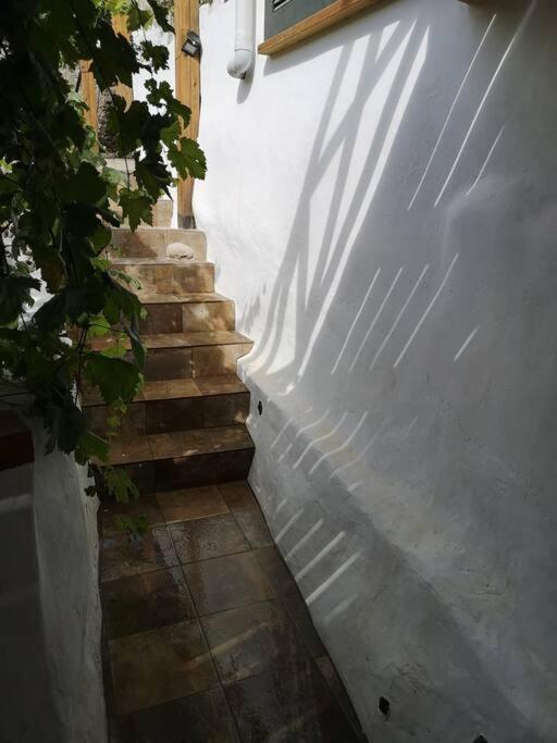 Souterrain Fuer Max 2 P., Bad, Aussenkueche, Garten Güimar Exteriör bild